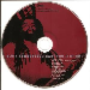 Alvin Youngblood Hart: Down In The Alley (CD) - Bild 3