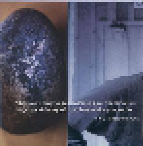 Ray Anderson: Funkorific (CD) - Bild 3