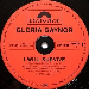 Gloria Gaynor: I Will Survive (12") - Bild 2