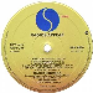 Radio Birdman: Radios Appear (LP) - Bild 5