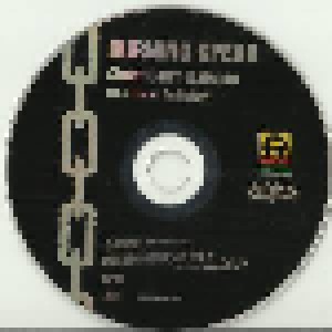 Burning Spear: Chant Down Babylon - The Island Anthology (2-CD) - Bild 4