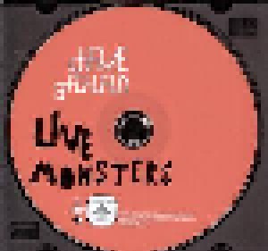 Dave Gahan: Live Monsters (DVD) - Bild 3