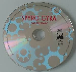 Spyro Gyra: Got The Magic (CD) - Bild 6