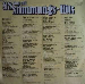 88 Sing Mit Stimmungs-Hits (2-LP) - Bild 2