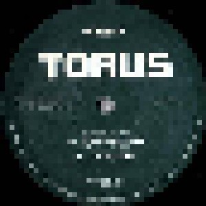 Cover - Torus: Perspective