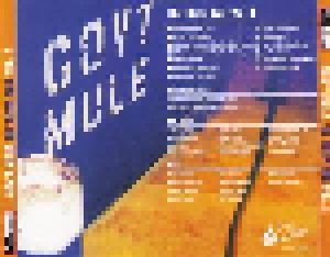 Gov't Mule: The Deep End Vol. 2 (CD) - Bild 10