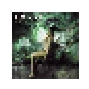 DGM: Hidden Place (CD) - Bild 1