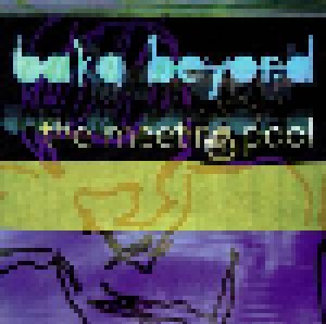 Baka Beyond: The Meeting Pool (CD) - Bild 1