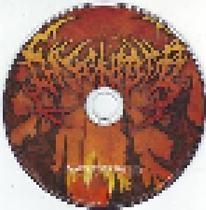 Disentomb: Sunken Chambers Of Nephilim (CD) - Bild 3