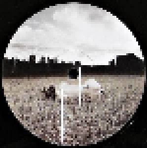 Apocalyptica: Reflections (2-LP) - Bild 3