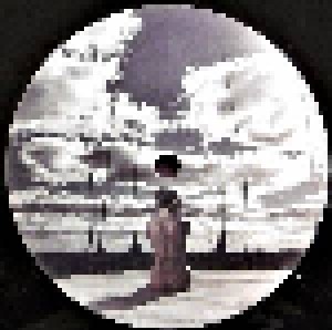 Apocalyptica: Reflections (2-LP) - Bild 5