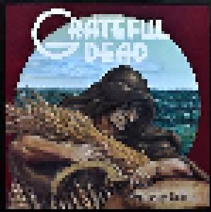 Grateful Dead: Wake Of The Flood (LP) - Bild 1