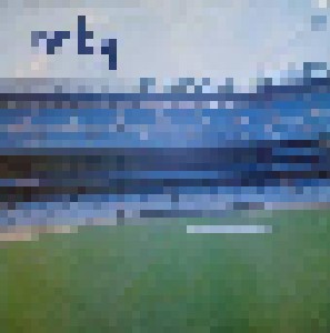 NRBQ: At Yankee Stadium (LP) - Bild 1