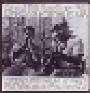 "Bowling Green" John Cephas & "Harmonica" Phil Wiggins: Original Field Recordings Vol. 1 / Living Country Blues USA / Bowling Green John & Harmonica Phil Wiggins  (LP) - Bild 1