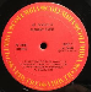 Al Di Meola: Elegant Gypsy (LP) - Bild 3