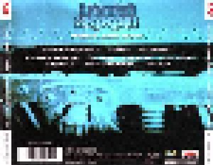 Lynyrd Skynyrd: Then And Now (CD) - Bild 2