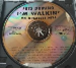 Fats Domino: I'm Walkin' - 20 Greatest Hits (CD) - Bild 4