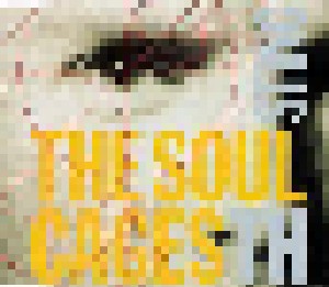 Sting: The Soul Cages (Single-CD) - Bild 1