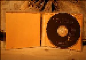 Chick Corea & Gary Burton: Native Sense (CD) - Bild 3