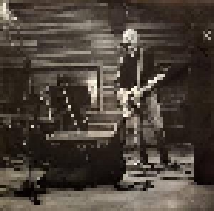 Tom Petty: Wildflowers (2-LP) - Bild 5