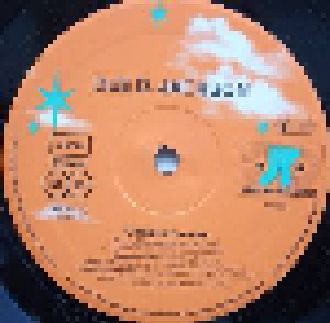 Dee D. Jackson: Cosmic Curves (LP) - Bild 4