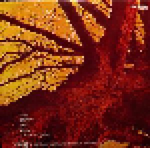 Wishbone Ash: Pilgrimage (LP) - Bild 4