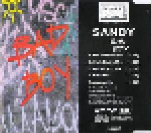 Sandy: Bad Boy (Single-CD) - Bild 3