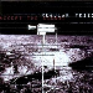 Regular Fries: Accept The Signal (CD) - Bild 1