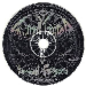Swordmaster: Moribund Transgoria (CD) - Bild 2