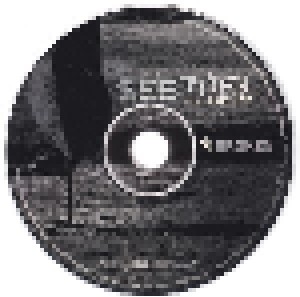 Seether Feat. Amy Lee: Broken (Single-CD) - Bild 4