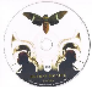 Hazmat Modine: Cicada (CD) - Bild 3
