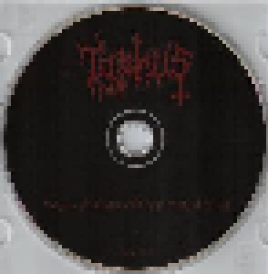 Typhus: Grand Molesters Of The Holy Trinity (CD) - Bild 5