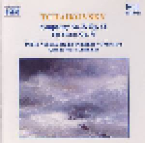 Pjotr Iljitsch Tschaikowski: Symphony No.5 In E Minor Op. 64 / The Storm Op. 76 (CD) - Bild 1