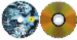 Saltatio Mortis: 10 Jahre Wild Und Frei (CD + DVD) - Bild 8