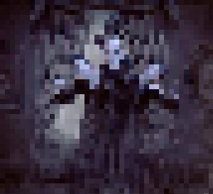 Sopor Aeternus & The Ensemble Of Shadows: Have You Seen This Ghost? (2-LP) - Bild 1