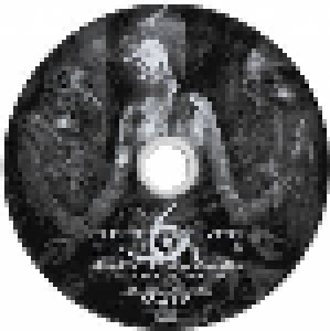 The Project Hate MCMXCIX: Bleeding The New Apocalypse - Cum Victricus In Manibus Armis (CD) - Bild 4