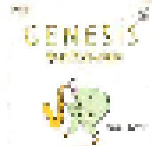 Genesis: Misunderstanding - Cover