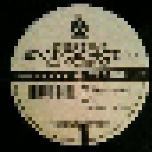 Fatman Scoop Feat. The Crooklyn Clan: Evidence Remix (12") - Bild 1