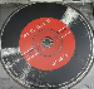 Ronny Jordan: At Last (CD) - Bild 3