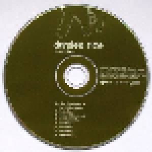Damien Rice: O & B-Sides (2-CD) - Bild 4