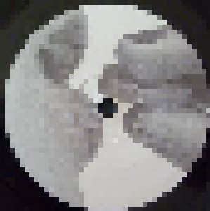 The Cure: Peel Sessions 1 1978-1980 (LP) - Bild 4