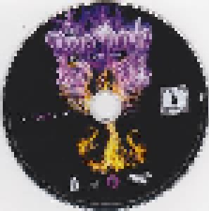 Deep Purple: Phoenix Rising (CD + DVD) - Bild 4