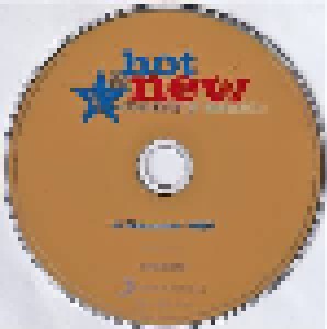 Hot & New Country Music Vol. 1 (CD) - Bild 5