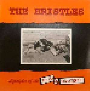 The Bristles: Lifestyles Of The Poor & Unknown (LP) - Bild 1