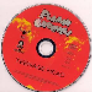 The Flamin' Groovies: Teenage Head (CD) - Bild 3