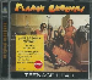 The Flamin' Groovies: Teenage Head (CD) - Bild 5