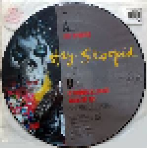 Alice Cooper: Hey Stoopid (PIC-12") - Bild 2