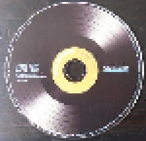Hella Heizmann: Singenderweise (CD) - Bild 4