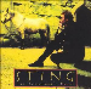 Sting: Ten Summoner's Tales (CD) - Bild 1
