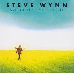 Cover - Steve Wynn: Sweetness And Light